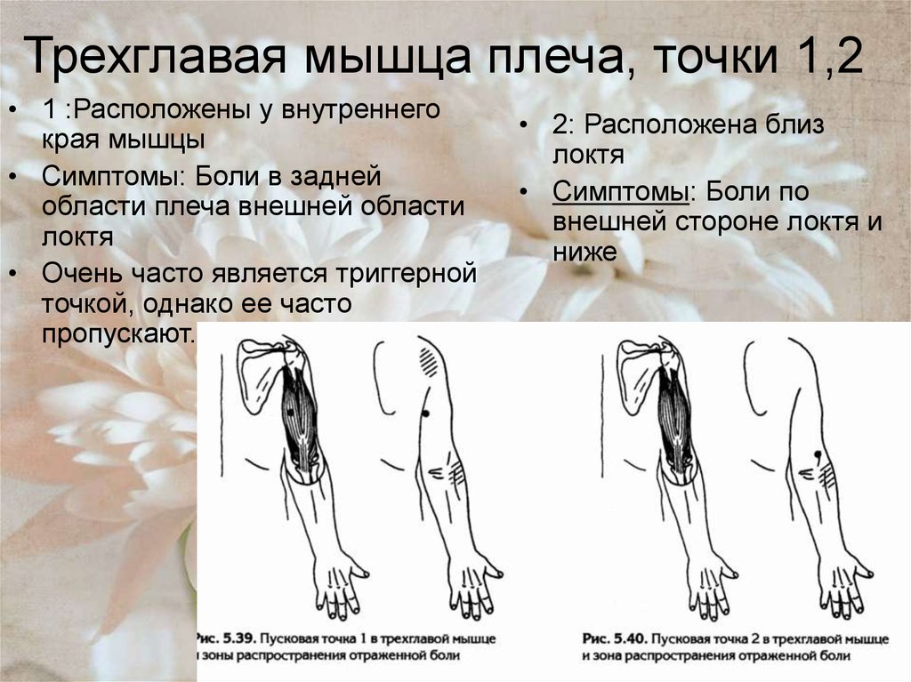 Точка однако. Трехглавая мышца. Боль в трехглавой мышце плеча. Триггерные точки трехглавой мышцы плеча. Расположение трехглавой мышцы.