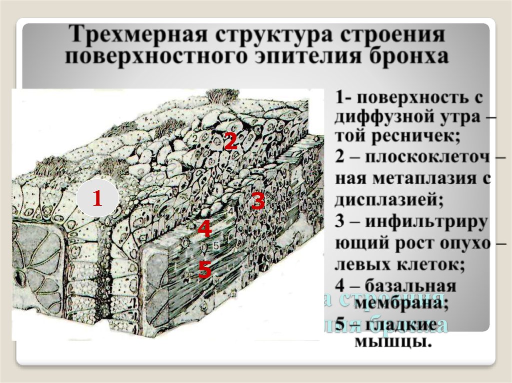 Объемное строение. Трехмерная структура. Объемные строения. Структура поверхности. Структура строения.