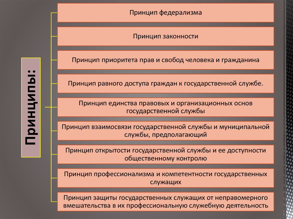 Приоритетным правом. Принцип приоритета прав человека. Принцип федерализма принцип законности. Принцип законности государственной службы. Федерализм принципы гос службы.