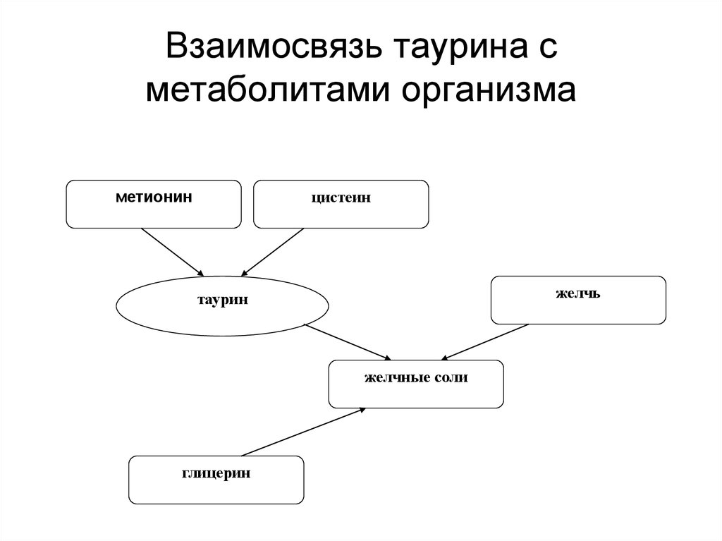 Взаимосвязь. Взаимосвязь таурина с метаболитами организма. Взаимосвязь таурина с метаболитами схема. Метаболитик таурин.