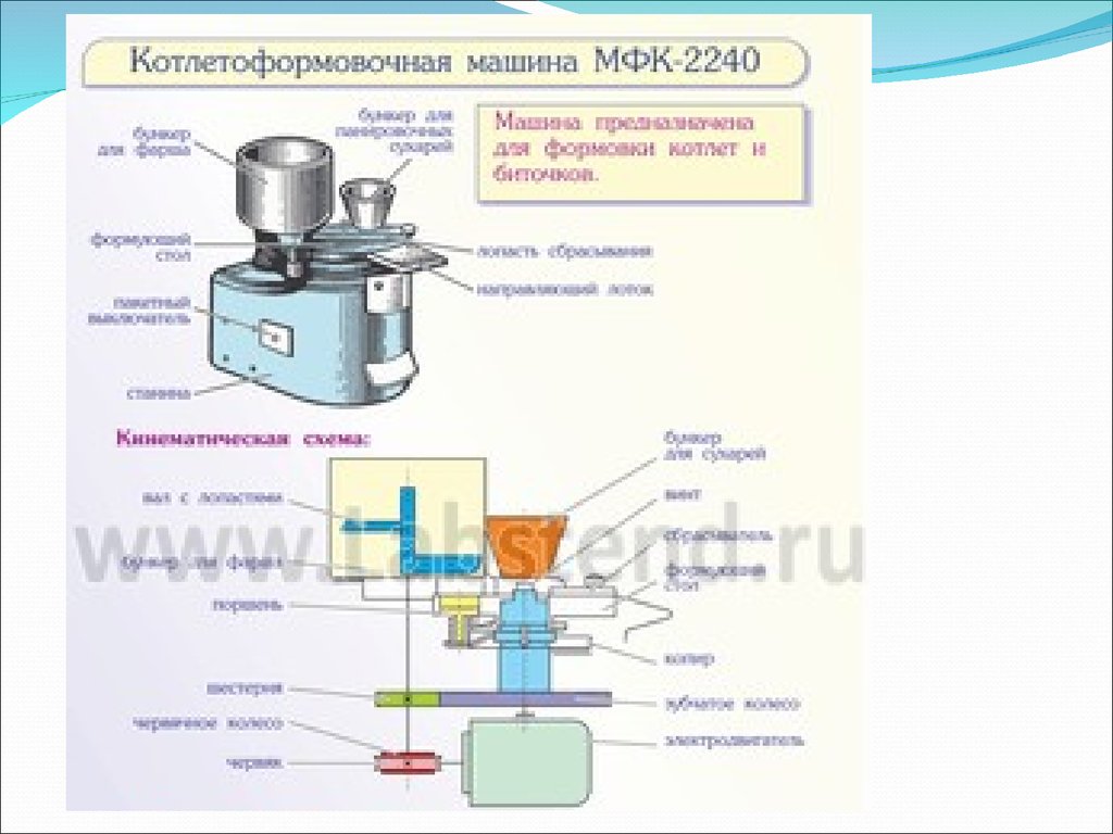 Машины для обработки мяса и рыбы - презентация онлайн