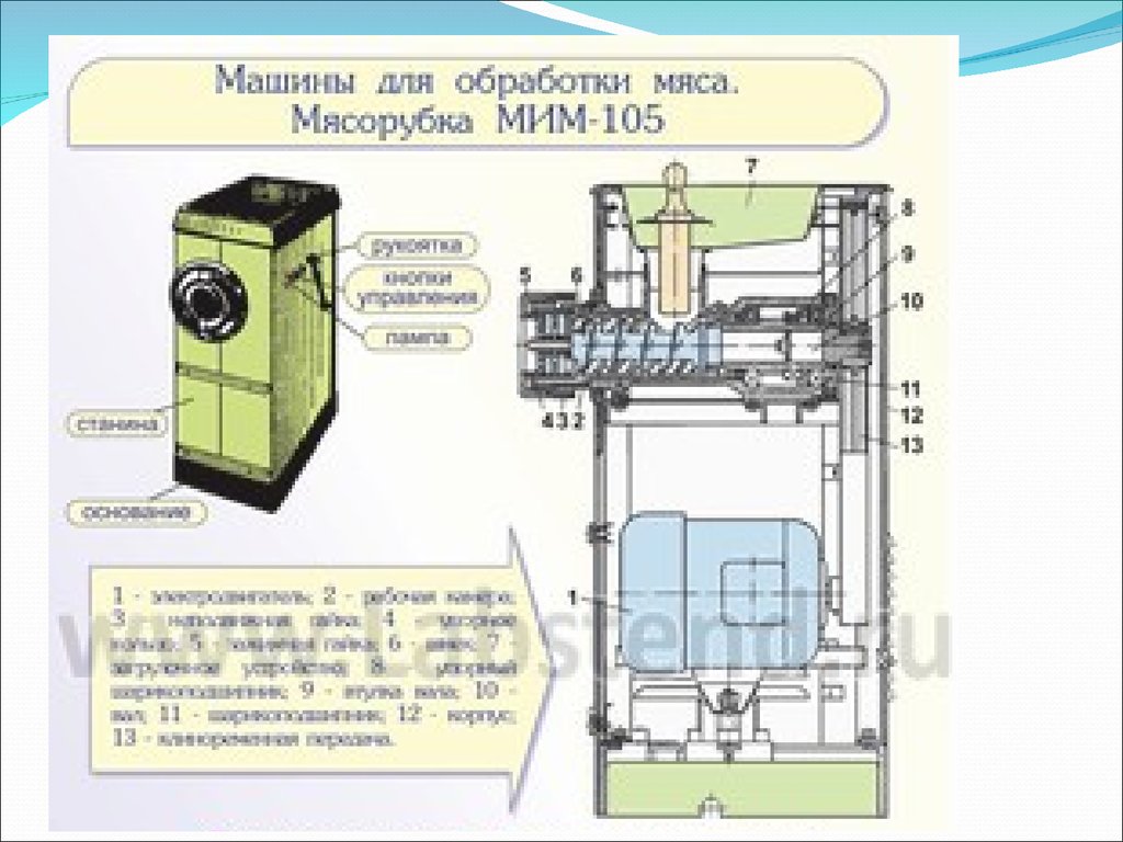 Машины для обработки мяса и рыбы - презентация онлайн