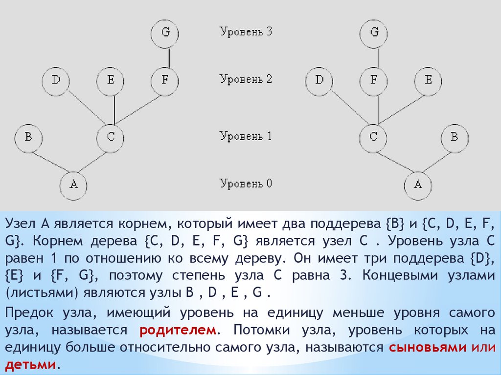 Между узле называют