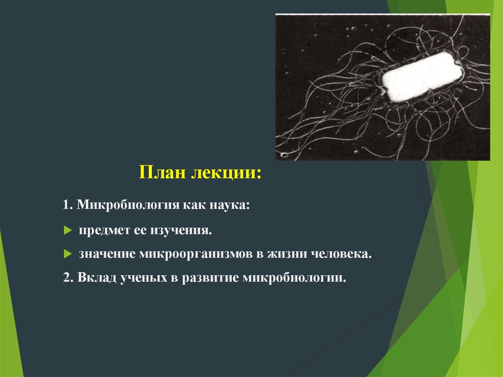 План наука. Введение в микробиологию. Введение в микробиологию предмет. Микробиология план лекции. Микробиология в жизни человека.