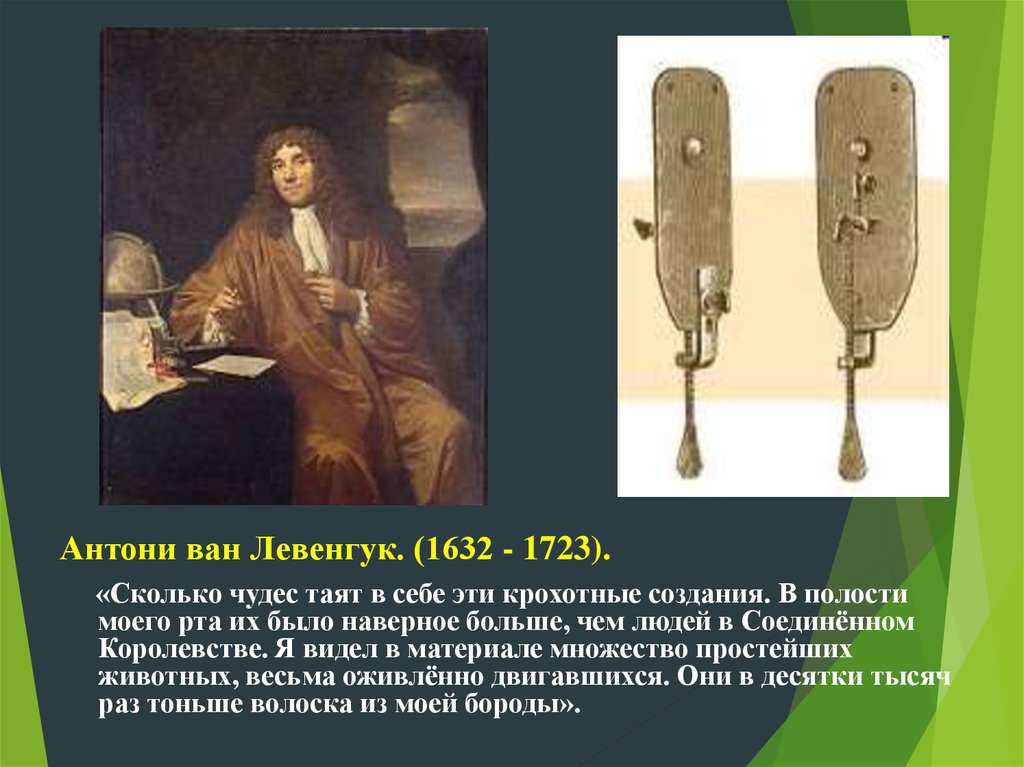 Антони ван. Антони Ван Левенгук (1632-1723). Антони Ван Левенгук исследования. Антони Ван Левенгук микроорганизмы. Антони Ван Левенгук 1696.