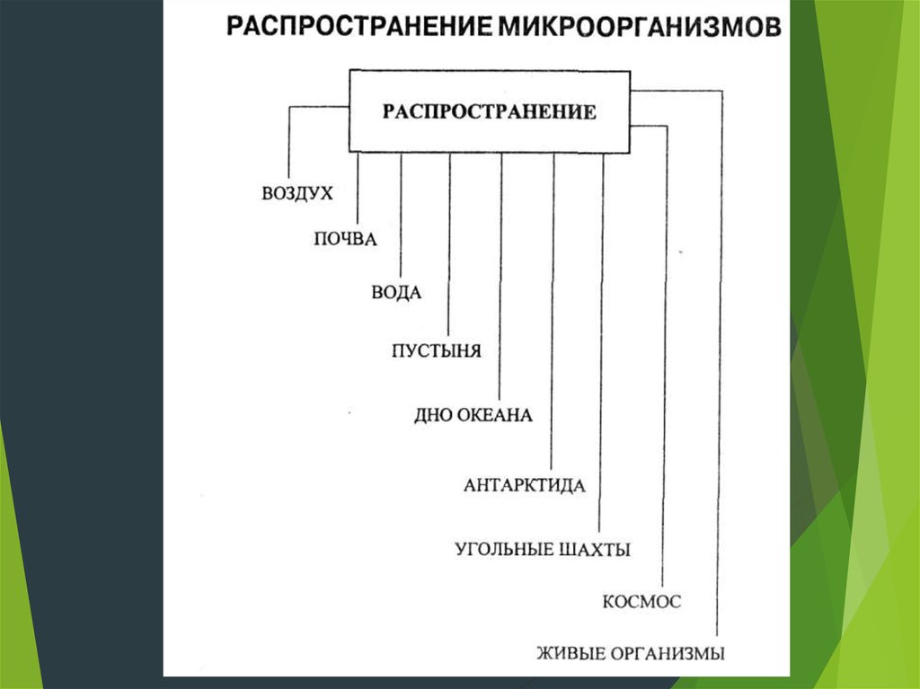 Распространение воздуха. Схема распространения бактерий. Таблица распространение микробов в природе микробиология. Распространение микроорганизмов в природе. Распространение микроорганизмов в окружающей среде схема.