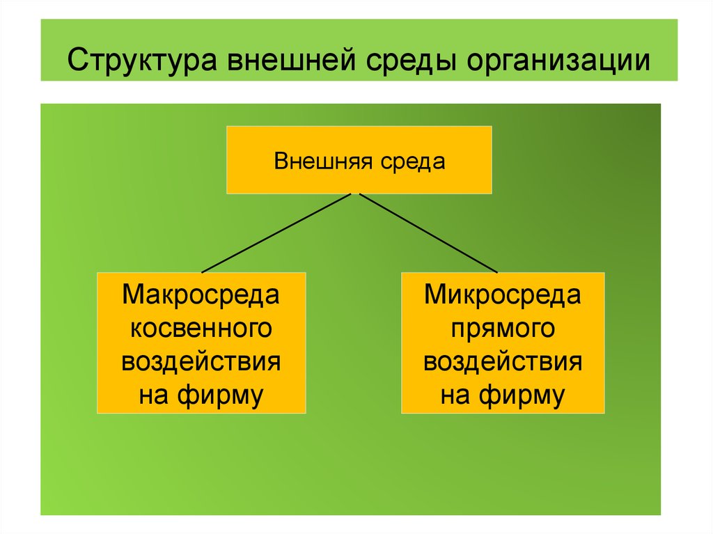 Внешняя фирма. Структура внешней среды. Структура внешней среды организации. Внешняя структура организации. Внешняя среда.