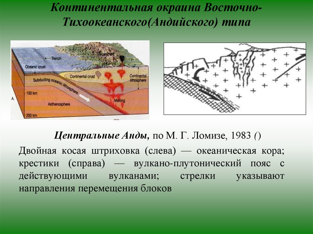 Континентальные окраины. Активная Континентальная окраина Андского типа. Окраина Андийского типа. Строение континентальных окраин Тихоокеанского типа. Андский Тип Континентальной окраины.