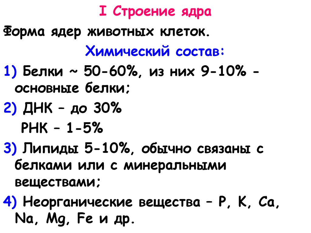 Белки входят в состав ядер