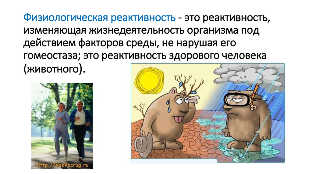 Реактивность это