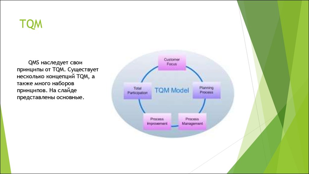 Определите место менеджера проекта в системе tqm