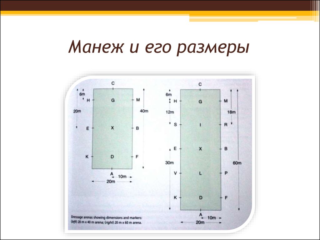 Схема манежа 40 на 20 с буквами