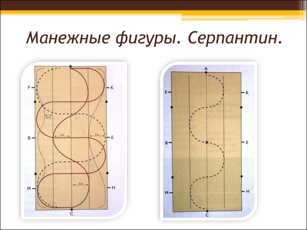 Серпантин на лошади схема