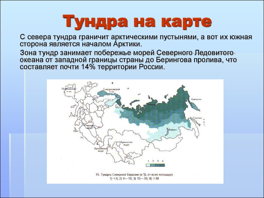 Географическое положение тундры в евразии
