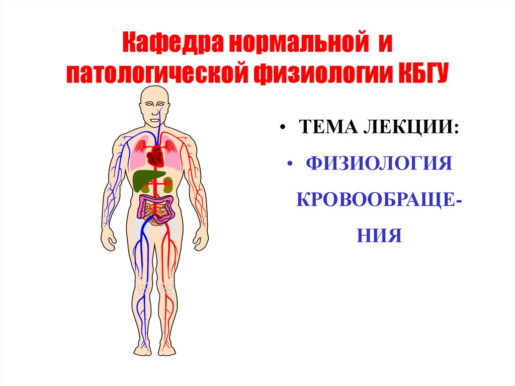 Патофизиология системы кровообращения презентация