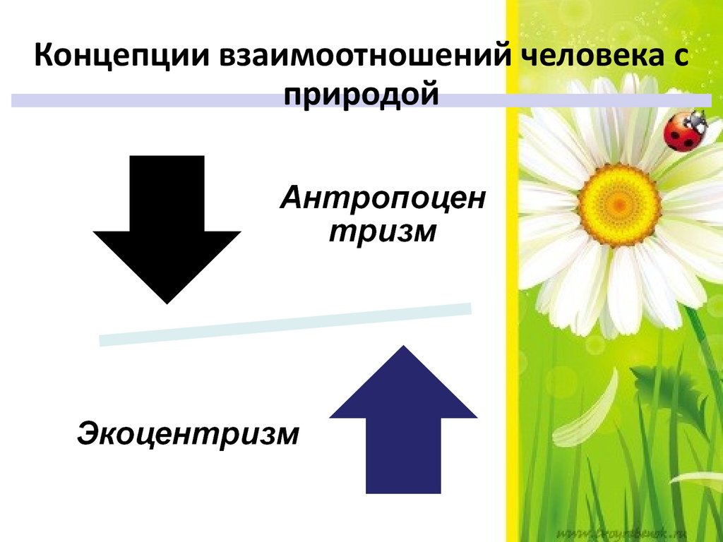 Концепция взаимодействия. Концепции взаимодействия человека и природы. Концепция взаимоотношений. Конструктивное взаимодействие человека с природой. Принцип экологического соответствия гласит.