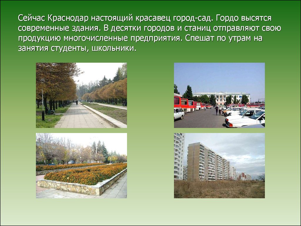 Сейчас Краснодар настоящий красавец город-сад. Гордо высятся современные здания. В десятки городов и станиц отправляют свою продукцию мно