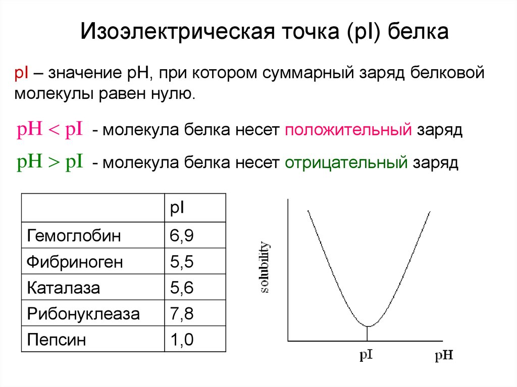 Какой из указанных ниже. АСП АРГ фен изоэлектрическая точка. Изоэлектрическая точка белков РН. Изоэлектрическая точка белка цвиттер-ионы. Изо электрическая точка бклкуа.