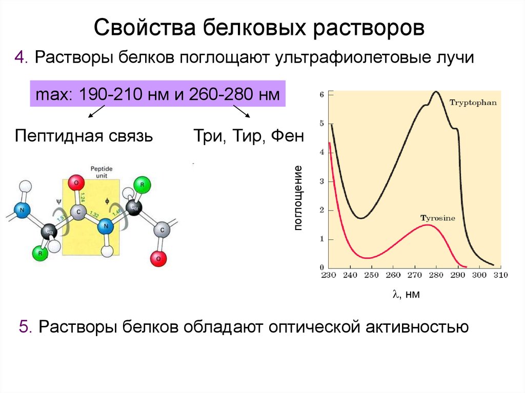 Растворы белков. Свойства растворов белков. Характеристика растворов белков. Свойства белковых растворов. Поглощение УФ лучей белками.