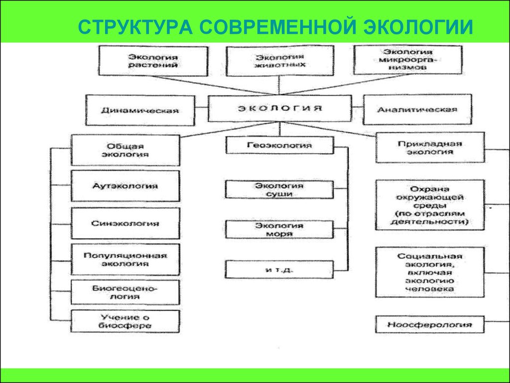 Схема окружающей среды