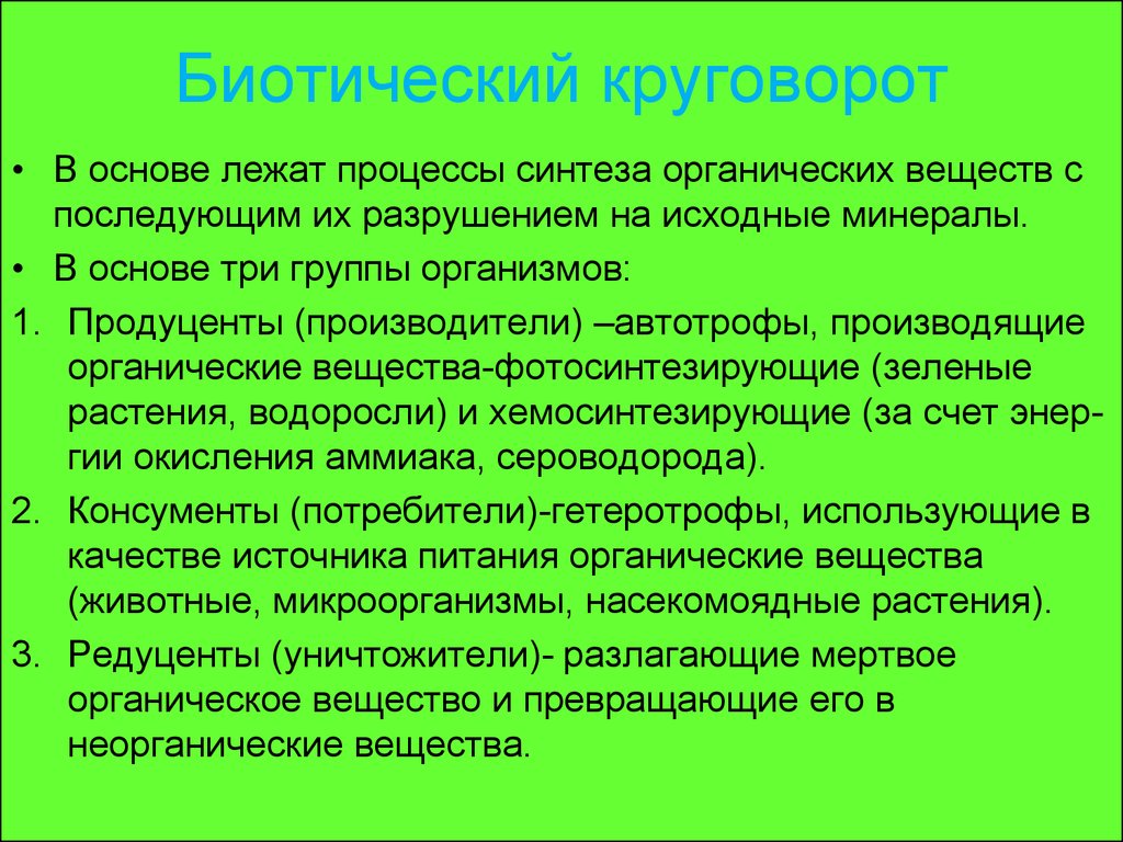 Процессы органического синтеза. Объясните роль гетеротрофов в биологическом круговороте. Роль гетеротрофов и автотрофов в биологическом круговороте веществ. Экологическая роль гетеротрофов. Экологическая политика биотический круговорот веществ.