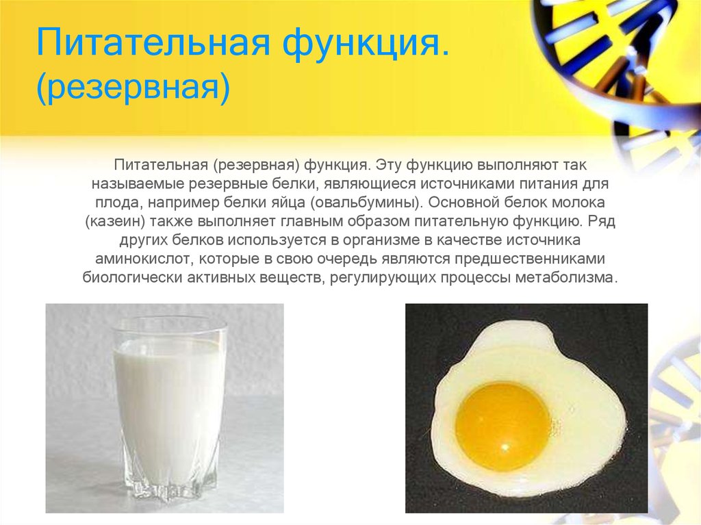 Какие функции выполняет яйцо. Питательная функция белков. Питательная (резервная) функции белков. Резервная функция белков. Казеин белок функции.