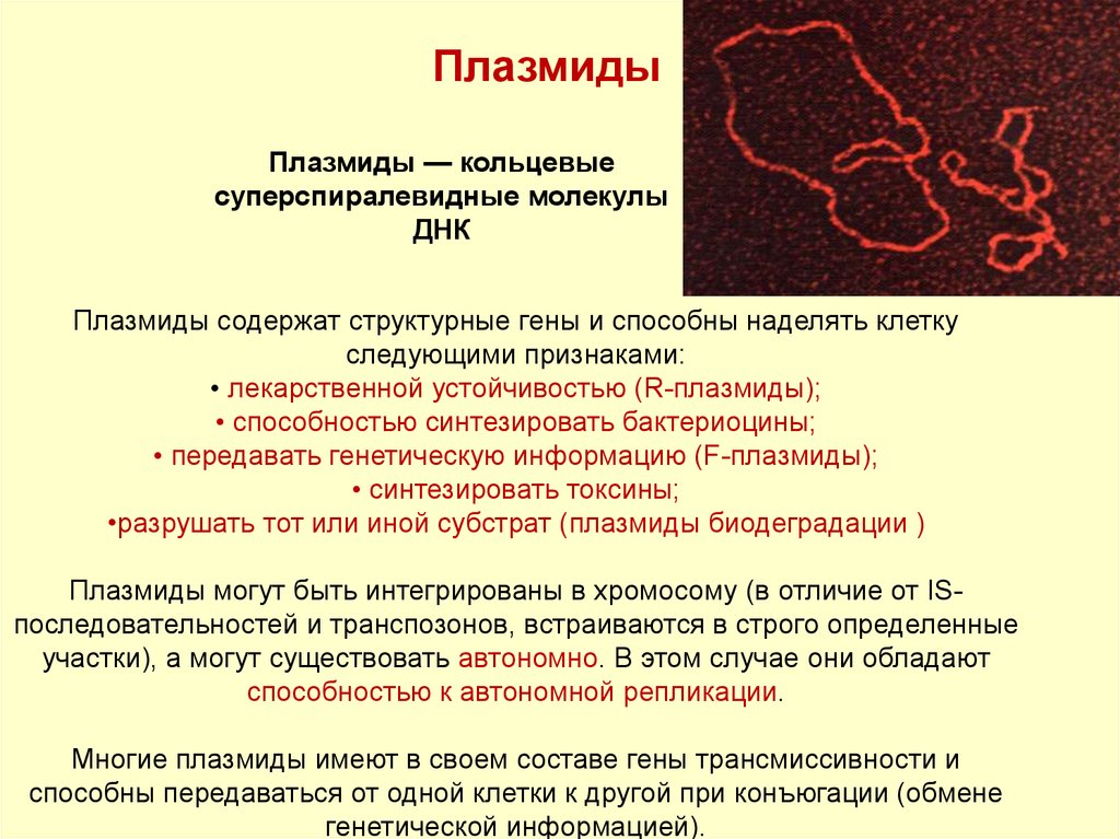 Исследователь трансформировал клетки бактерий плазмидой содержащей ген. Плазмиды и гены. Плазмиды биодеградации. Плазмиды содержат гены. Плазмиды генетика.