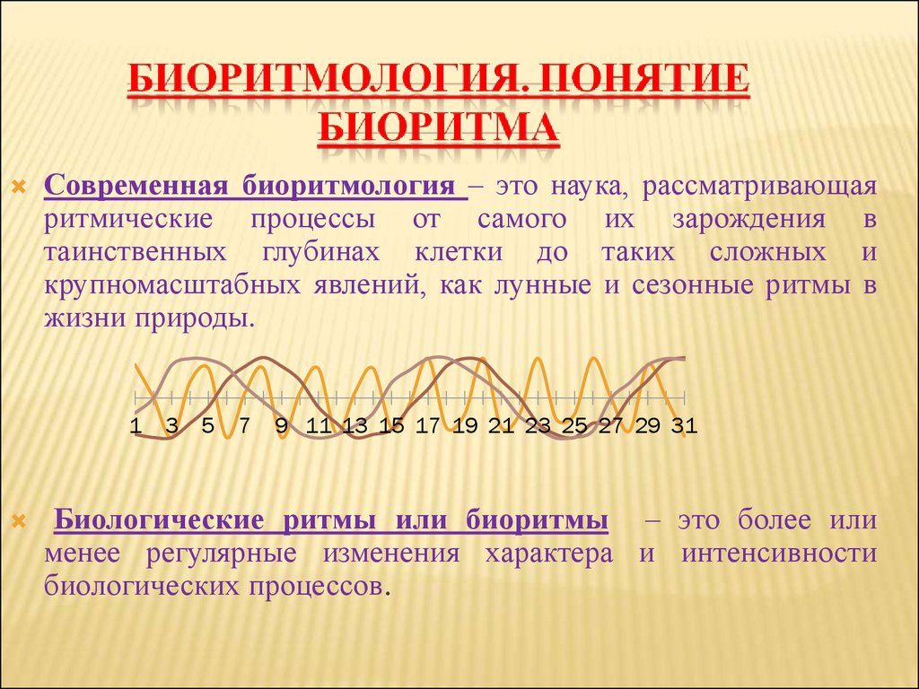 Биоритмы и хронопатология презентация