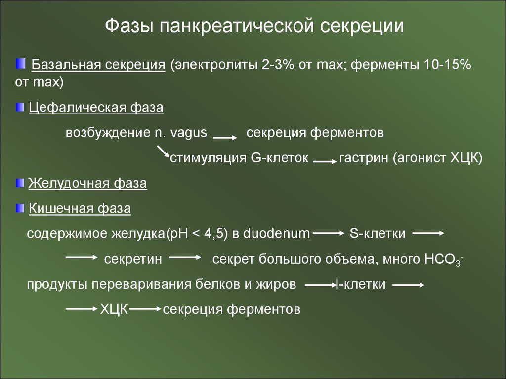 Гастрин 17 понижен. Гастрин 17. Гастрин 17 базальный пониженный. Гастрин 17 стимулированный повышен. Гастрин низкий.