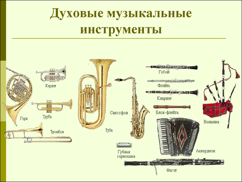 Физика Музыкальные Инструменты Презентация