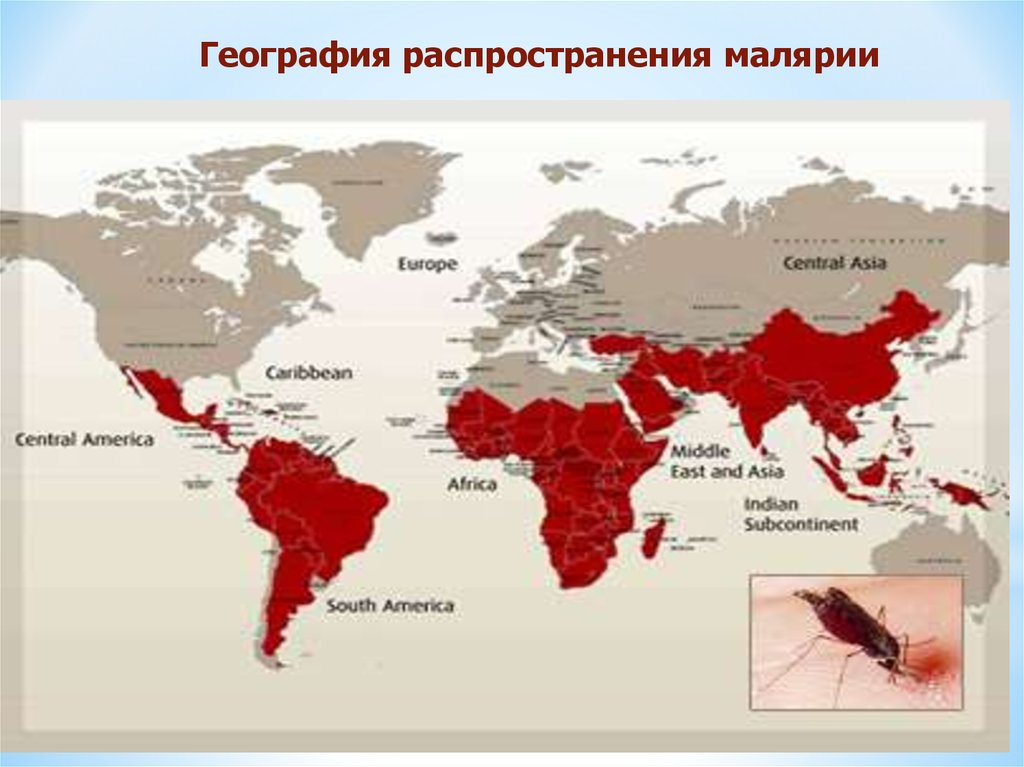 Заболеваемость малярией. Малярийный плазмодий географическое распространение. Малярийный комар ареал обитания. Географическое распространение малярийного комара. Малярийный плазмодий распространен.