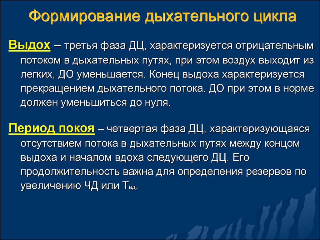 Цикл дыхания. Фазы дыхательного цикла схема. Дыхательный цикл и его фазы. Фазы дыхательного цикла (выдох). 3 Фазы дыхательного цикла.