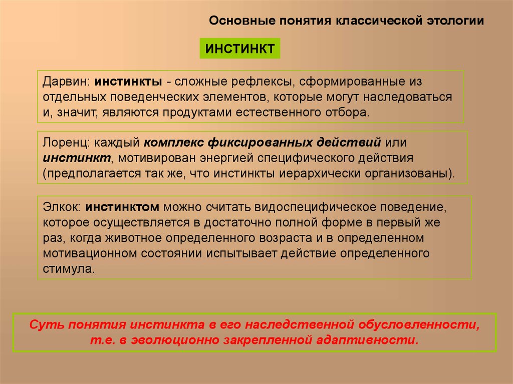 Основное внимание уделено. Этология основные понятия. Понятие инстинкт. Термин инстинкт. Основные инстинкты.