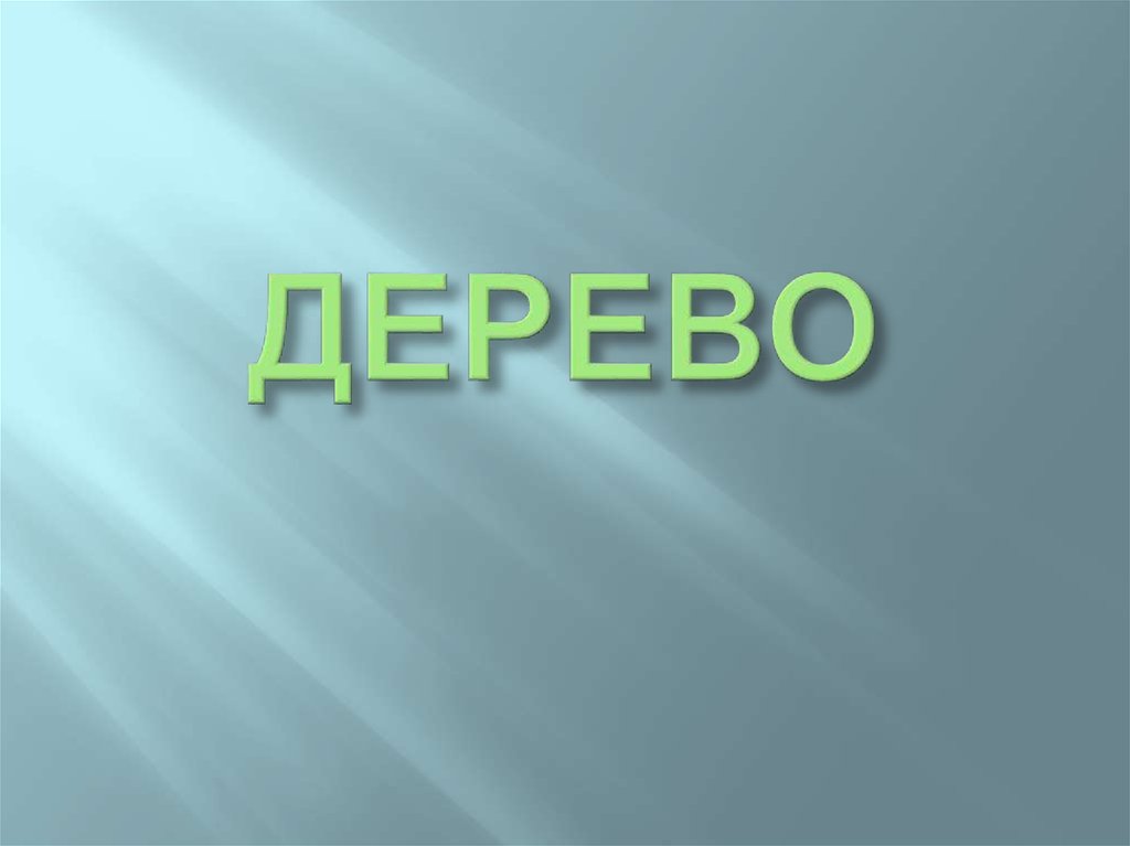 ДЕРЕВО
