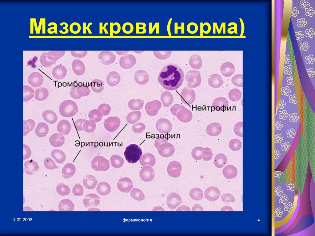 Тромбоциты в мазке крови фото