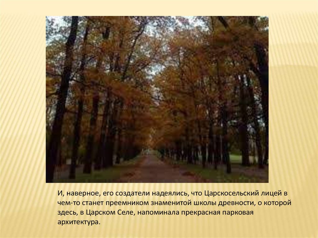 А знаете ли вы?