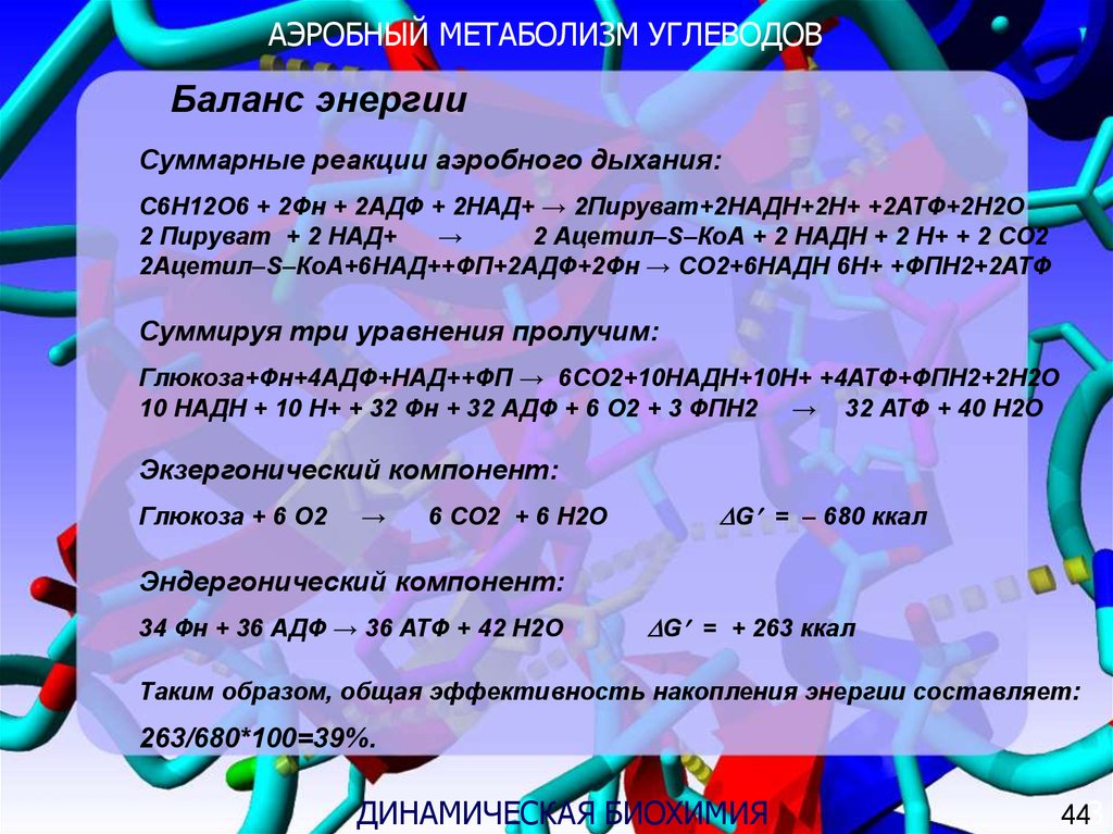 Тема 6. Аэробный метаболизм. Аэробный и анаэробный обмен веществ. Анаэробный метаболизм и аэробный метаболизм. Аэробный энергетический обмен.