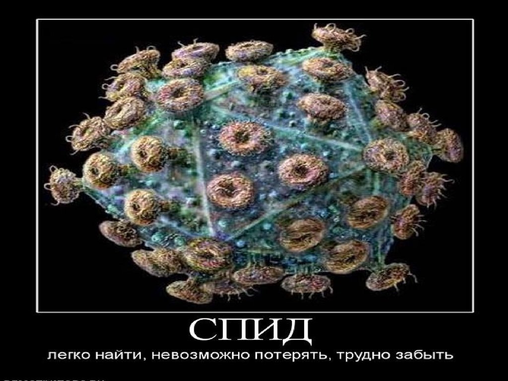 Жизнь без вирусов. Гигантские вирусы. Человек состоит из вирусов. Идеи на тему вирусы проект.