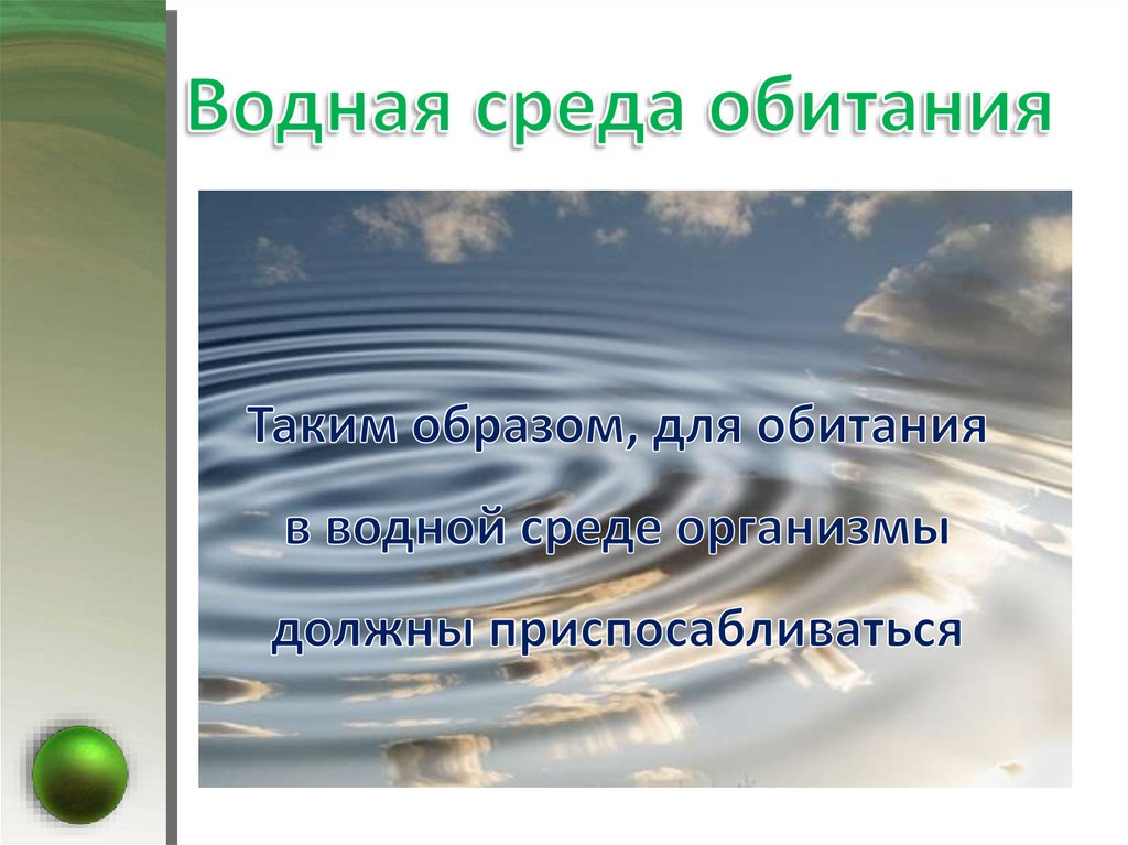 Колебания температуры в водной среде обитания. Водная среда обитания презентация. Кислород в водной среде обитания. Среда обитания презентация 6 класс. Среда обитания фото для презентации.