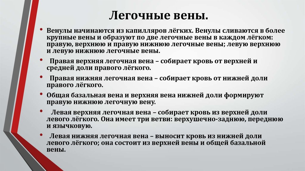 Правые и левые легочные вены. Легочные вены несут кровь.