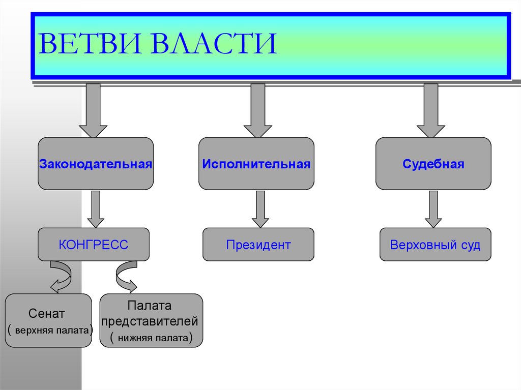 Законодательная исполнительная и судебная власти проекты. Три ветви власти законодательная исполнительная судебная. Ветви власти в США схема. Назовите основные ветви власти. Схема ветви власти законодательная исполнительная судебная.