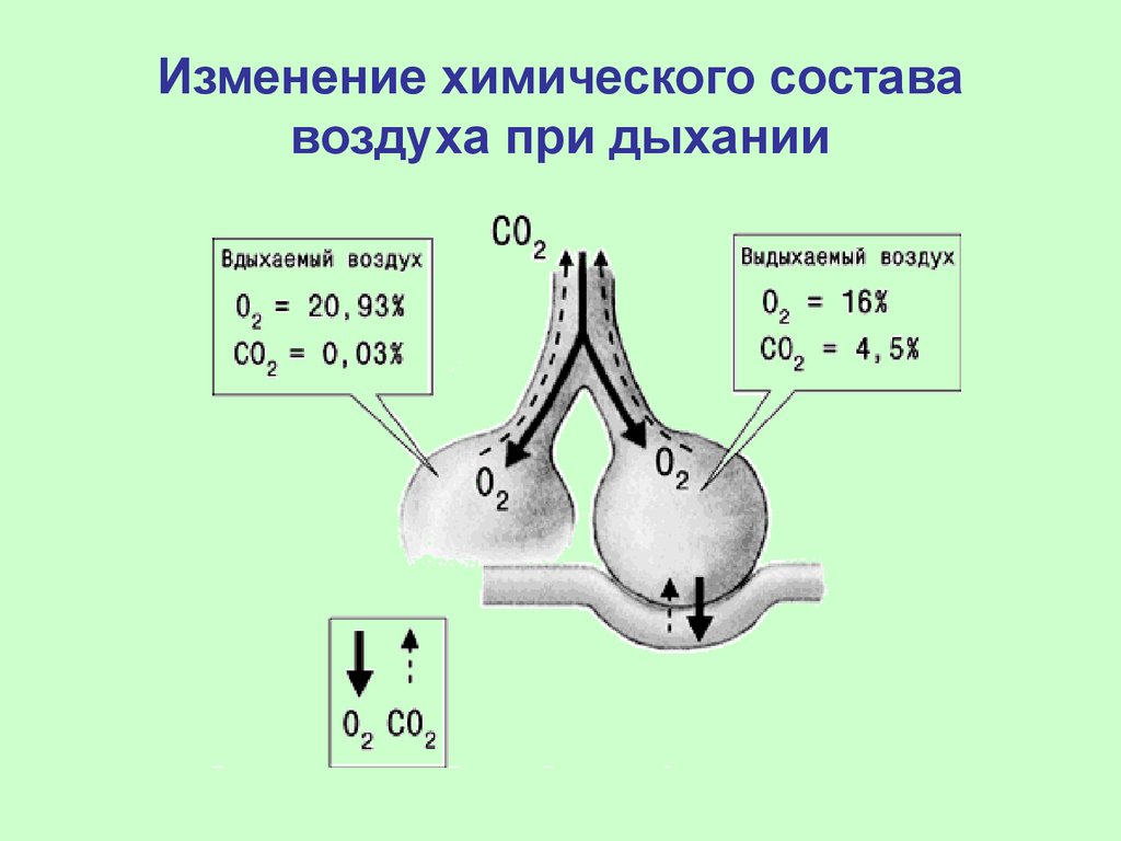 Как изменяется воздух