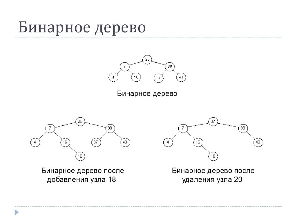 Бинарное дерево. Схема бинарного дерева. Бинарное дерево Информатика. Упорядоченное бинарное дерево.