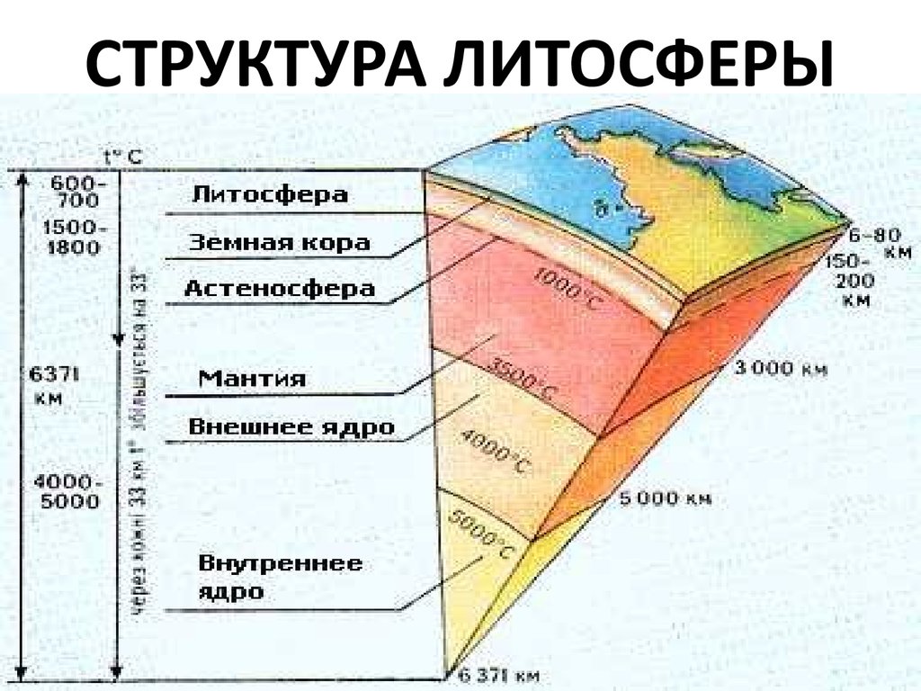 В литосфере существует жизнь. Схема строения литосферы земли.