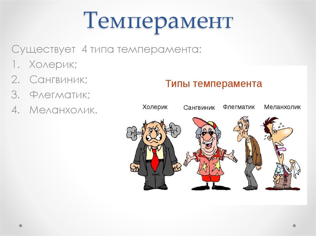 Презентация по типам темперамента