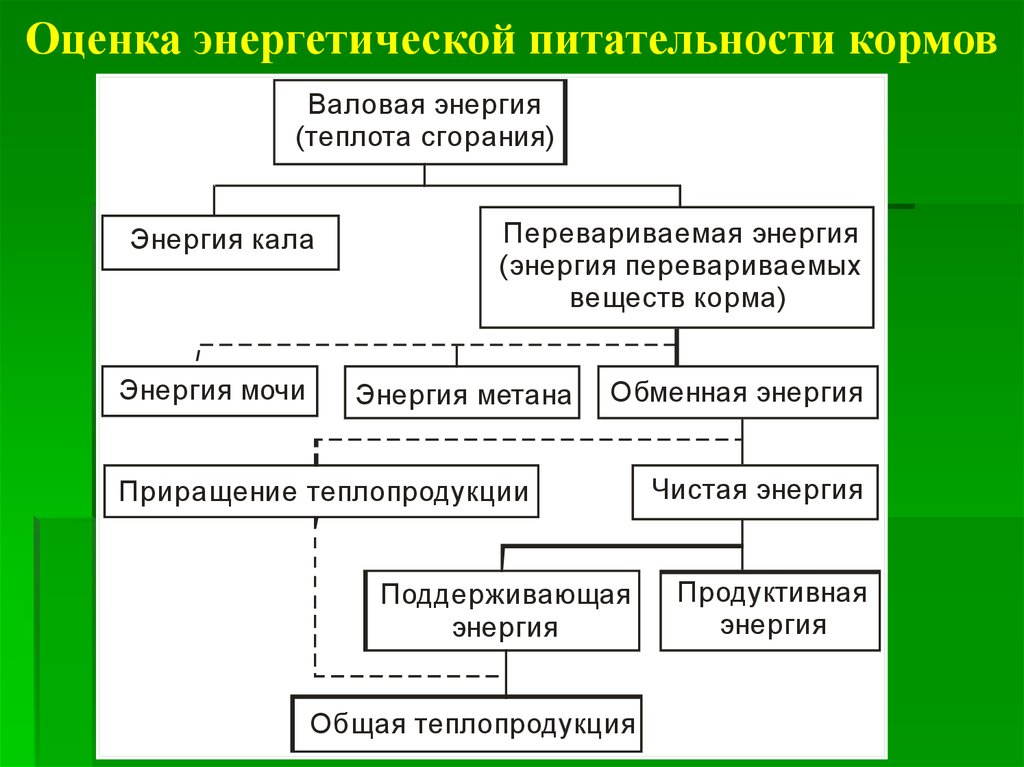 Схема химического анализа кормов