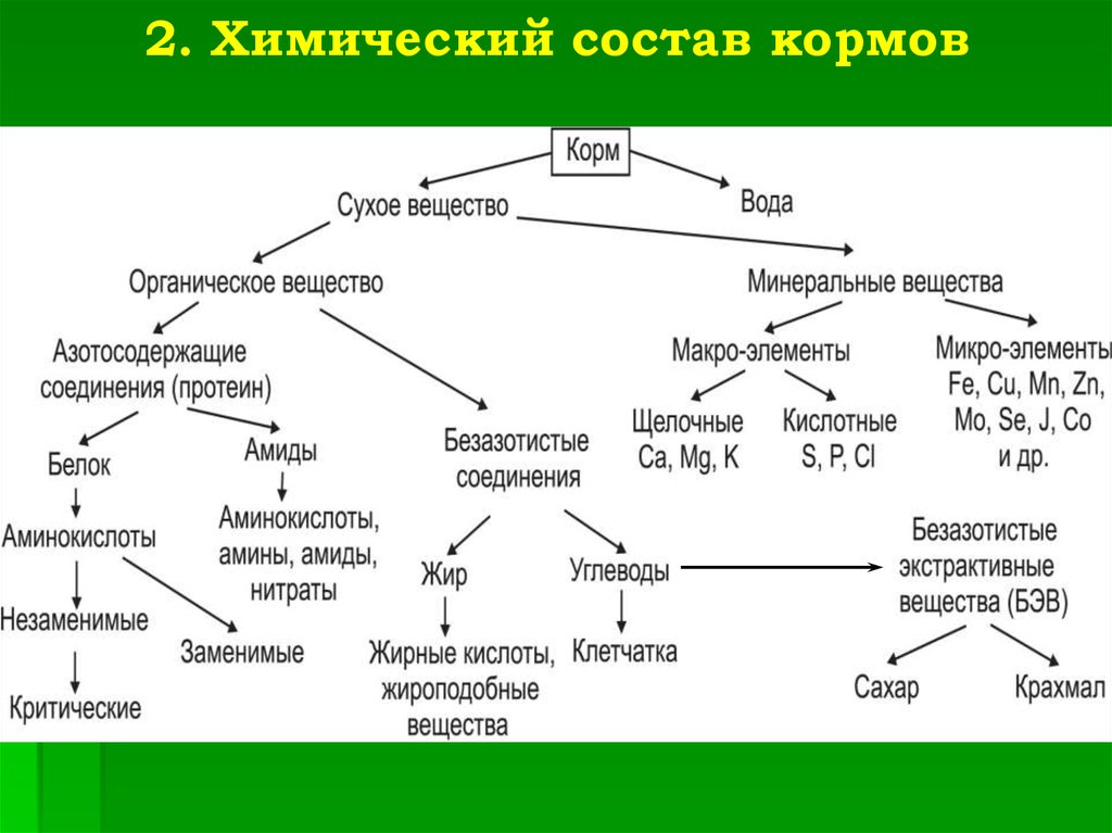 Обмен органических веществ. Схема химического состава корма. Химический состав кормов для животных схема. Составьте схему химического состава кормов.. Схема химического состава корма растительного происхождения.