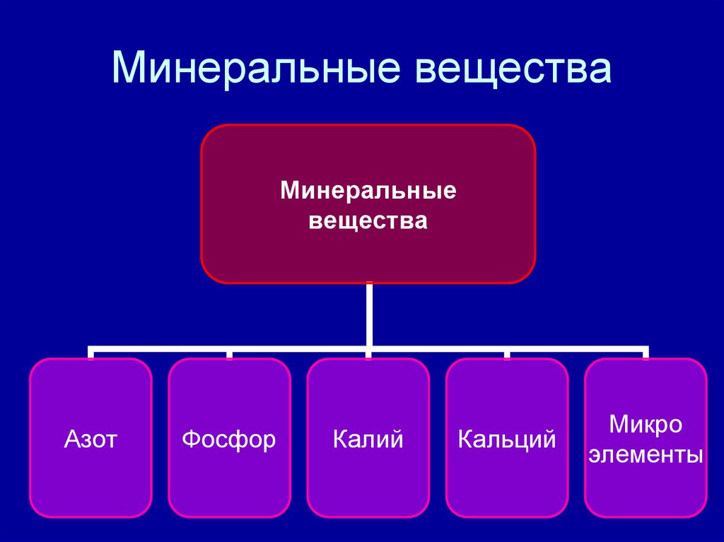 Минеральные вещества