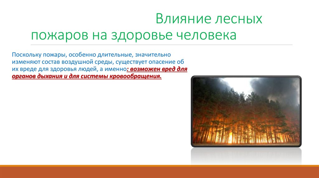 Какой вред наносят пожары. Влияние пожаров на человека. Последствия природных пожаров. Лесные пожары на здоровье человека. Влияние природных пожаров на человека.