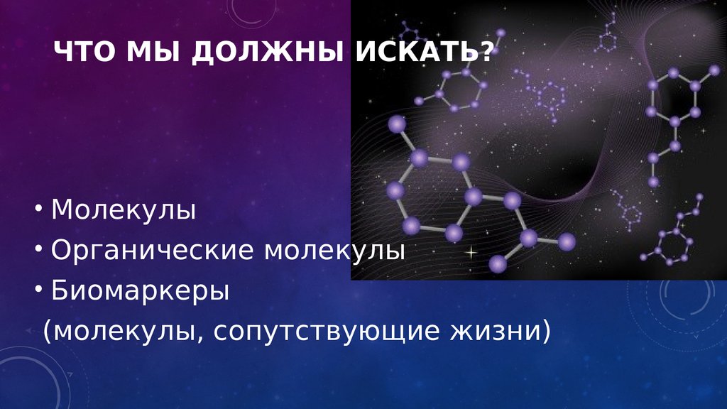 Космическая биология презентация